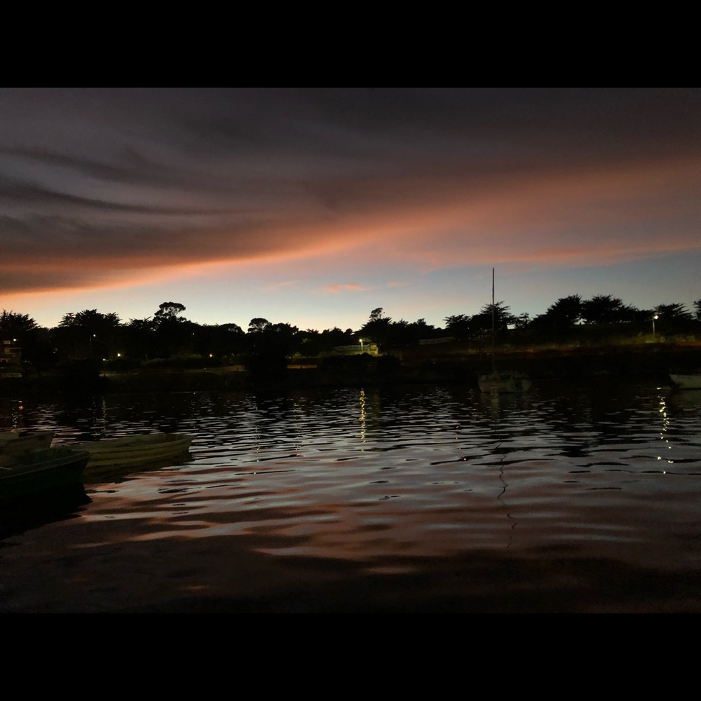 Meet your Posher, Throw